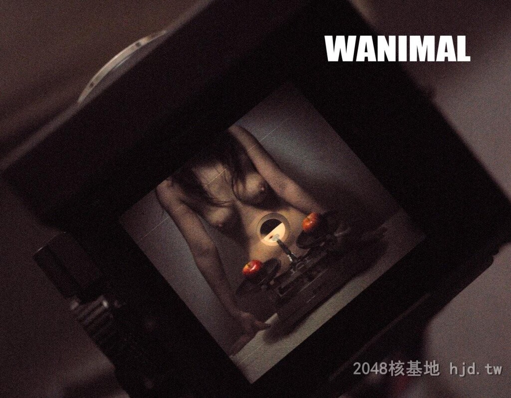 王动WANIMAL作品61[10p]第1页 作者:Publisher 帖子ID:269524 TAG:自拍图片,網友自拍,2048核基地