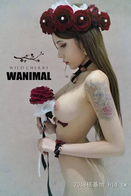 王动WANIMAL作品346[20p]第1页 作者:Publisher 帖子ID:284852 TAG:日本图片,亞洲激情,2048核基地