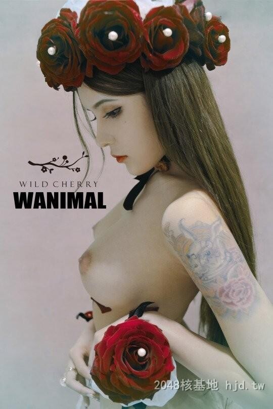 王动WANIMAL作品346[20p]第1页 作者:Publisher 帖子ID:284852 TAG:日本图片,亞洲激情,2048核基地